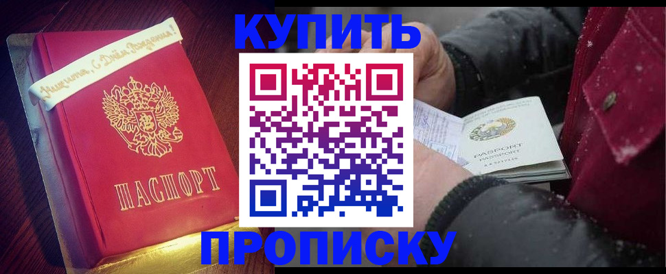прописка гарантия в Котласе